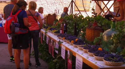 día del vino de cirauquidía del vino de cirauqui